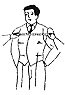 WIDTH OF BEST